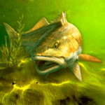 My Fishing World MOD Unlimited Money 1.15.14