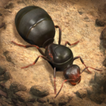 The Ants Underground Kingdom MOD Unlimited Money 3.58.0
