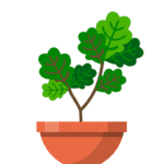 Terrarium Garden Idle MOD Unlimited Money 1.31.2