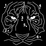 Dot to Dot Puzzles Coloring MOD Unlimited Money 4.2.3