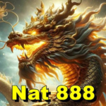 Nat 888 MOD Unlimited Money 1
