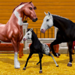 Star Equestrian – Horse Ranch MOD Unlimited Money 479