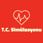 TC Simlasyonu MOD Unlimited Money 1.0.120