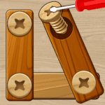 Nuts Bolts Screw Pin Puzzle MOD Unlimited Money 1.0.27