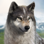 Wolf Game Wild Animal Wars MOD Unlimited Money 1.0.61 Wolf Game Wild Animal Wars MOD Unlimited Money 1.0.61