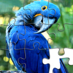 Jigsaw Puzzles – Puzzle Games MOD Unlimited Money 3.177