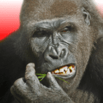 Flying Gorilla MOD Unlimited Money 4.7.4
