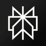 Perplexity – Ask Anything Apk Mod 2.44.1 Premium