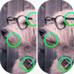 Spot the Difference Delight MOD Unlimited Money 2.5