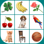Brain game. Picture Match. Apk Mod 2.5.5 Premium