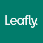 Leafly Find Cannabis and CBD Apk Mod 8.11.0 Premium
