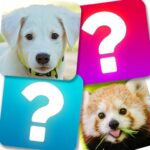 Match Game Animals MOD Unlimited Money 10.1