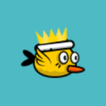 Birdy bird – Game Original MOD Unlimited Money 4.5.0