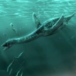 Plesiosaurus Simulator MOD Unlimited Money 1.2.5