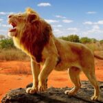 The Lion MOD Unlimited Money 1.2.6