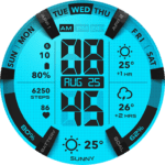 UsA LCD Weather Anim – USA181 Apk Mod VARY Premium