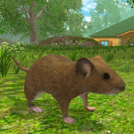 Mouse Simulator Forest Home MOD Unlimited Money 1.43