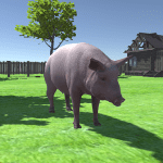 Pig Simulator MOD Unlimited Money 2.0.2 Pig Simulator MOD Unlimited Money 2.0.2