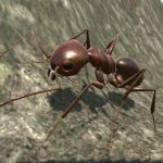 Ant Simulation 3D MOD Unlimited Money 2.3.6 Ant Simulation 3D MOD Unlimited Money 2.3.6