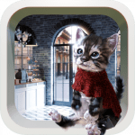 Escape Game Cat and Cafe MOD Unlimited Money 1.1.0