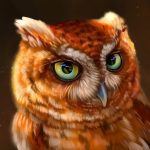 The Owl MOD Unlimited Money 1.2.0