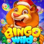 Bingo Wild-Classic Bingo Games MOD Unlimited Money 1.4.9