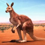 The Kangaroo MOD Unlimited Money 1.2.3