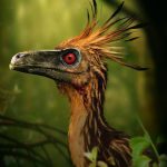 Troodon Dinosaur Simulator MOD Unlimited Money 1.2.6
