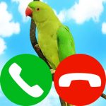 fake incoming call pet game MOD Unlimited Money 17.0 fake incoming call pet game MOD Unlimited Money 17.0