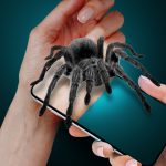 Spider on My Hand Joke MOD Unlimited Money 1.9 Spider on My Hand Joke MOD Unlimited Money 1.9