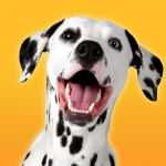 Dalmatian Simulator MOD Unlimited Money 1.3.0