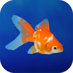 Goldfish 3D Relaxing Aquarium MOD Unlimited Money 2.54 Goldfish 3D Relaxing Aquarium MOD Unlimited Money 2.54